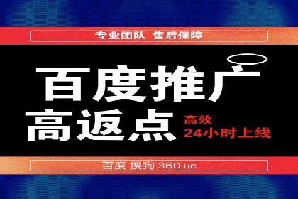SEM推广案例：打造高效广告投放策略